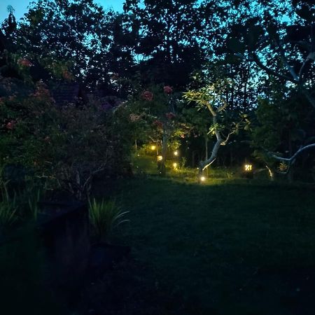 Bougainvillea Bungalow Batumadeg Экстерьер фото